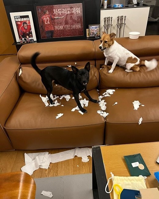 [서울=뉴시스] 차두리 2022.09.14 (사진=인스타그램) photo@newsis.com  *재판매 및 DB 금지