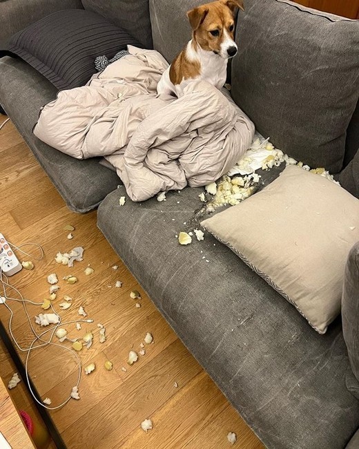 [서울=뉴시스] 차두리 2022.09.14 (사진=인스타그램) photo@newsis.com  *재판매 및 DB 금지