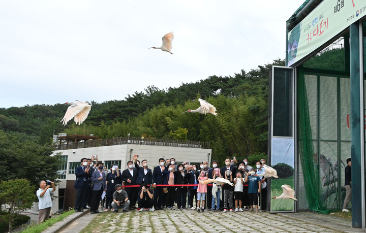 [창녕=뉴시스] 안지율 기자 = 환경부와 문화재청, 경남도, 창녕군은 15일 오후 경남 창녕군 우포따오기복원센터에서 증식 복원에 성공한 천연기념물 제198호 따오기 암컷 24마리, 수컷 16마리를 방사했다. 김부영 창녕군수와 참석자들이 따오기 쉼터에서 먹이주기 행사를 하고 있다. (사진=창녕군청 제공) 2022.09.15. photo@newsis.com  *재판매 및 DB 금지