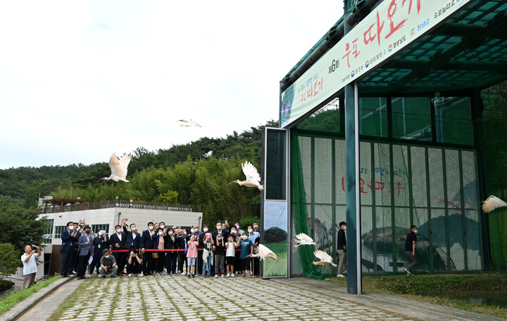 [창녕=뉴시스] 안지율 기자 = 환경부와 문화재청, 경남도, 창녕군은 15일 오후 경남 창녕군 우포따오기복원센터에서 증식 복원에 성공한 천연기념물 제198호 따오기 암컷 24마리, 수컷 16마리를 방사했다. 방사된 따오기가 창공을 향해 날아오르고 있다. (사진=창녕군청 제공) 2022.09.15. photo@newsis.com   *재판매 및 DB 금지