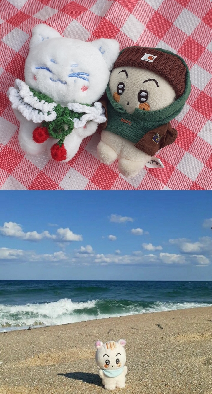 [서울=뉴시스] 덕질 인형. 2022.09.16. photo@newsis.com *재판매 및 DB 금지