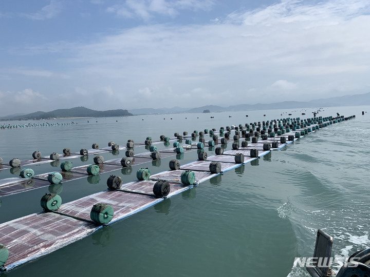 [무안=뉴시스] 전남 서남해 김 양식장 전경. (사진=전남도 제공) 2022.09.16. photo@newsis.com