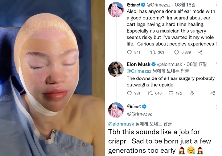 [서울=뉴시스]가수 그라임스 성형 후 사진과 일론 머스크의 응원 트윗. 2022.09.20. (사진=그라임스 트위터 캡처) photo@newsis.com*재판매 및 DB 금지 *재판매 및 DB 금지
