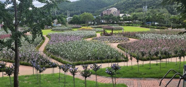 [대전=뉴시스] 장성 무궁화공원 전경. *재판매 및 DB 금지