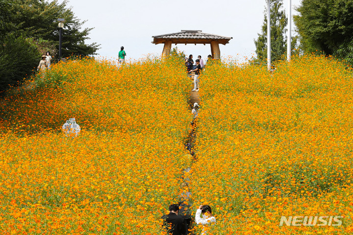 [서울=뉴시스] 권창회 기자 = 20일 오후 서울 송파구 올림픽공원 들꽃마루에서 시민들이 가을의 청취를 즐기고 있다. 2022.09.20. kch0523@newsis.com