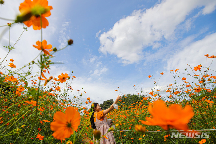 [서울=뉴시스] 권창회 기자 = 20일 오후 서울 송파구 올림픽공원 들꽃마루에서 시민들이 가을의 청취를 즐기고 있다. 2022.09.20. kch0523@newsis.com