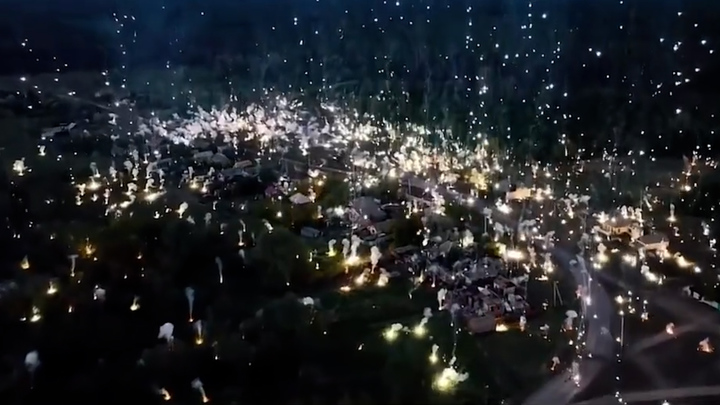 우크라이나 동부 돈바스의 전선에 있는 오제른 마을에 러시아군이 쏜 것으로 보이는 소이탄의 섬광이 불꽃놀이 하듯 쏟아져 내리는 기이한 영상이 공개됐다. 출처: 트위터 *재판매 및 DB 금지