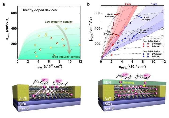 전하 불순물 산란 효과의 감소 원인을 규명하기 위한 기존 도핑과 원격 도핑 사이에서의 전하 이동도 비교. a 기존 도핑에서의 전하 농도에 따른 전자 이동도 및 모식도 b 원격 도핑에서의 전하 농도에 따른 전자 이동도 및 모식도 *재판매 및 DB 금지