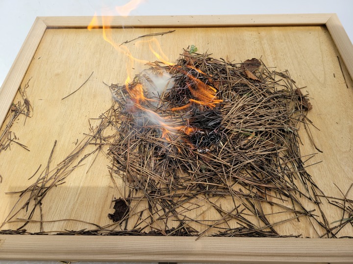 [부산=뉴시스] 부산 사하소방서가 진행한 담뱃불에 의한 낙엽 종류별 화재 재현실험. (사진=사하소방서 제공) *재판매 및 DB 금지