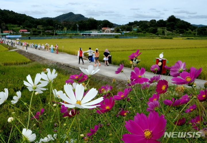 [청주=뉴시스] 조성현 기자 = 절기상 추분을 하루 앞둔 지난 22일 충북 청주시 상당구 가덕면에 나들이객들이 코스모스 사이를 거닐며 가을 날씨를 즐기고 있다. 2022.09.22. jsh0128@newsis.com 