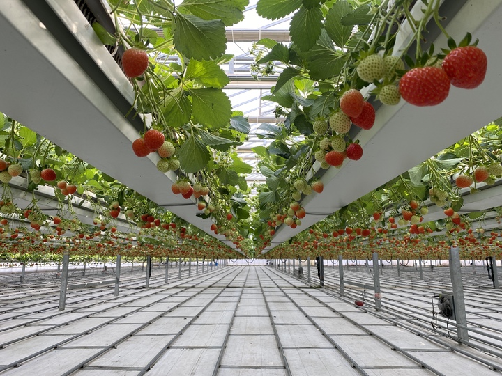 "농사도 스마트하게" 애그테크 유니콘 기업 탄생할까