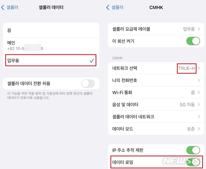 [서울=뉴시스] e심으로 해외 현지 이통사 요금제에 가입하면 로밍보다 저렴한 가격에 데이터를 이용할 수 있다. QR코드로 가입 절차를 마치면 스마트폰 설정에서 e심 요금제에서 '데이터 로밍'을 활성화 시켜야 한다.