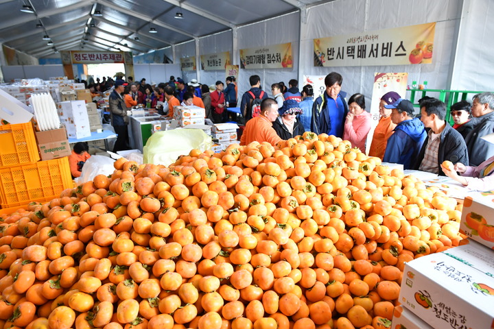 [안동=뉴시스] 청도 반시축제. (사진=경북도 제공) 2022.09.25 *재판매 및 DB 금지