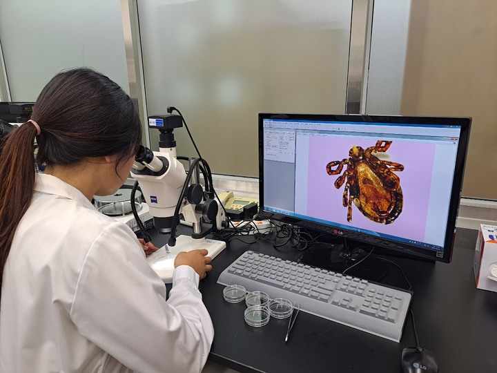 [서울=뉴시스] 전남도보건환경연구원이 채집한 야생진드기를 분석하고 있다. (사진=전남도 제공) 2023.04.01. photo@newsis.com *재판매 및 DB 금지