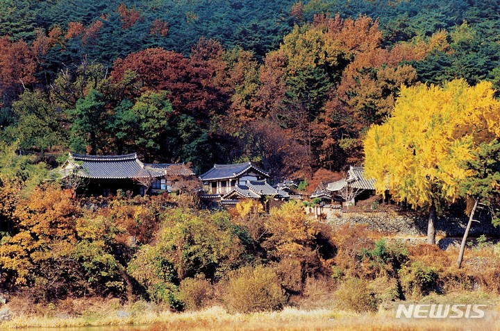 [서울=뉴시스] 밀양-가을빛으로 물든 월연대 일원. (사진=밀양시청 제공) 2022.09.26. photo@newsis.com *재판매 및 DB 금지