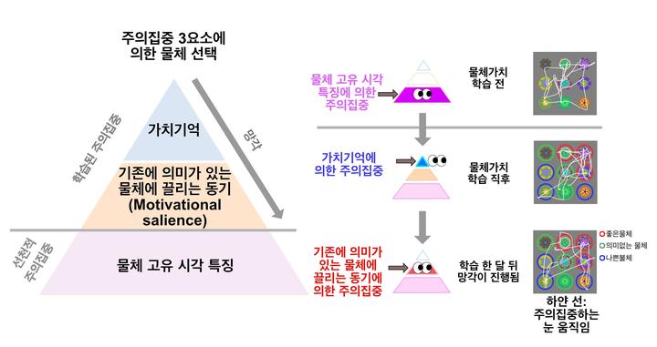 주의집중 3요소에 의한 물체선택 과정 *재판매 및 DB 금지