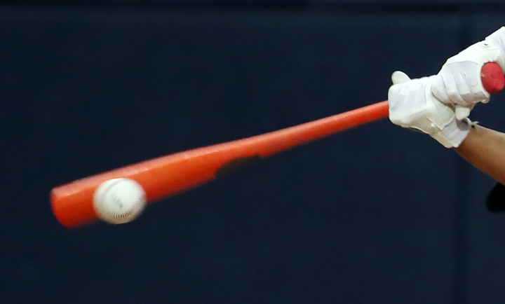 "야구클럽 감독, 배트로 중학생 선수 때렸다"…경찰 수사