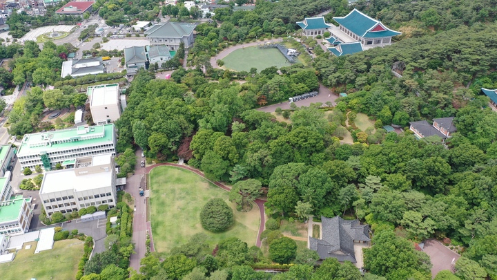 [서울=뉴시스] 청와대 노거수 군 전경 (사진=문화재청 제공) 2022.09.29. photo@newsis.com *재판매 및 DB 금지