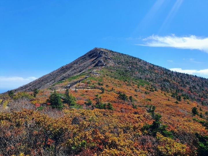 설악산 단풍. (사진=강원지방기상청 제공) 2022.09.29 *재판매 및 DB 금지