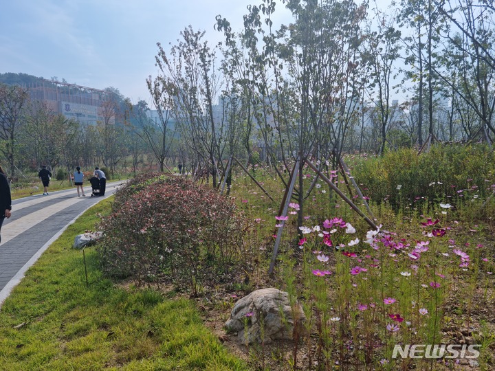 [수원=뉴시스]이준구 기자=코스모스가 핀 영흥숲공원 산책로. caleb@newsis.com 2022. 10. 01