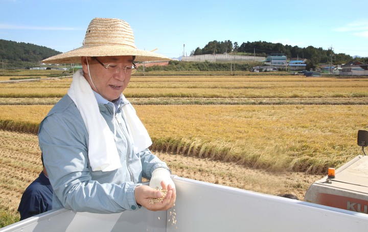 [해남=뉴시스] 이창우 기자=김영록 전남도지사가 1일 가을 걷이가 한창인 해남군 옥천면 들녘을 찾아 콤바인으로 수확한 벼를 살펴보고 있다. 2022.10.01. photo@newsis.com *재판매 및 DB 금지