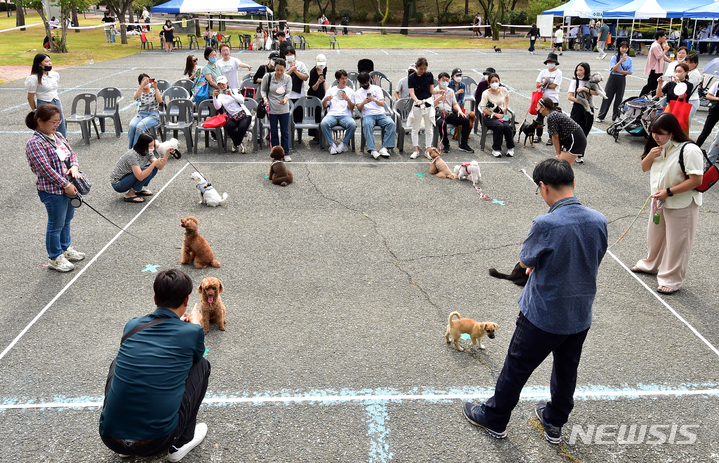 [대구=뉴시스] 이무열 기자 = '2022 반려동물한마당'이 열린 3일 오후 대구 북구 경북대학교 학생주차장에서 반려견과 보호자가 '기다려 대회'에 참여하고 있다. 2022.10.03. lmy@newsis.com