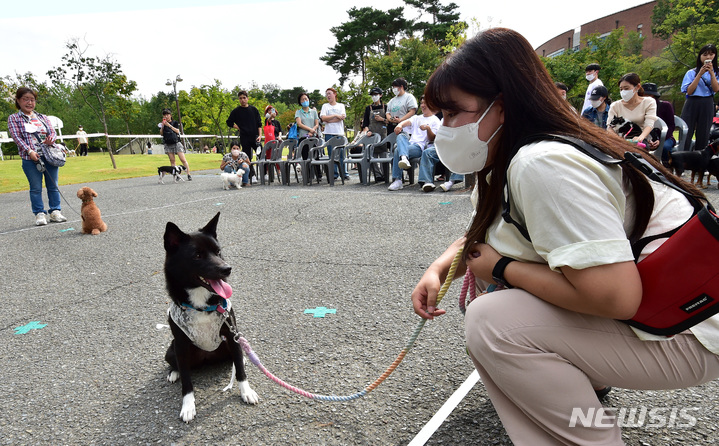 [대구=뉴시스] 이무열 기자 = '2022 반려동물한마당'이 열린 3일 오후 대구 북구 경북대학교 학생주차장에서 반려견과 보호자가 '기다려 대회'에 참여하고 있다. 2022.10.03. lmy@newsis.com