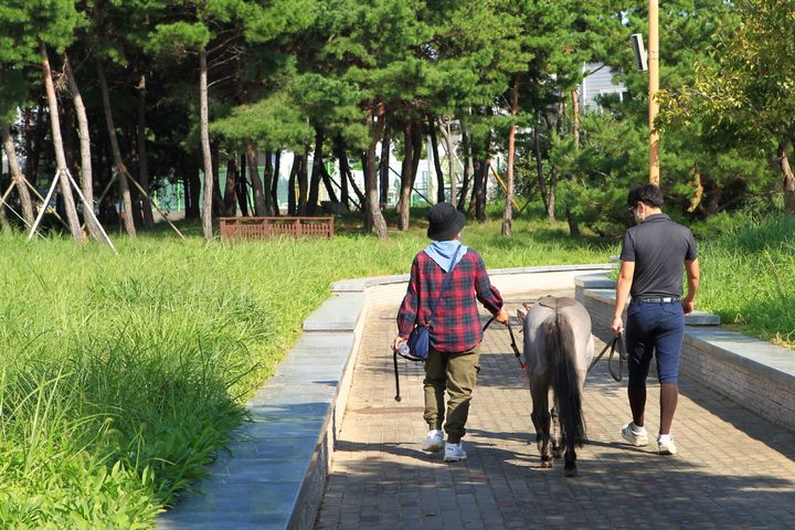 [부산=뉴시스] 한국마사회 부산경남본부 제2회 홀스테라피 행사 모습. (사진=한국마사회 부경본부 제공) *재판매 및 DB 금지