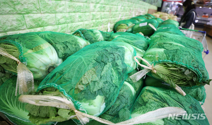 [서울=뉴시스] 이영환 기자 = 마트에 진열된 배추. 2022.10.04. 20hwan@newsis.com