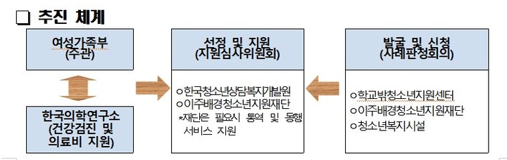취약청소년 건강검진 및 의료비 지원 추진체계 (출처=여성가족부) *재판매 및 DB 금지