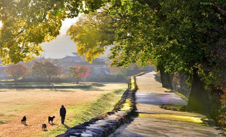 농부의 가을아침(사진=농식품부) *재판매 및 DB 금지