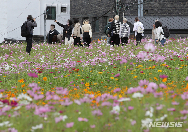 [서울=뉴시스] 고승민 기자 = 100년 넘게 담장에 둘러싸여 방치된 서울 종로구 '송현동 부지'가 새 단장을 마치고 7일 시민의 품으로 돌아온다. 서울시는 송현동 부지 전체를 '쉼과 문화가 있는 열린송현녹지광장'으로 7일 오후 5시30분부터 임시 개방한다고 6일 밝혔다. 사진은 이날 녹지광장 모습. 시는 오는 2025년부터 송현동 부지를 '이건희 기증관'을 품은 '송현문화공원(가칭)'으로 조성하는 작업에 나선다. 2022.10.06. kkssmm99@newsis.com