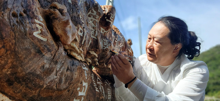 수령 200년 섬마을 팽나무에 '훈민정음 해례본' 새기다