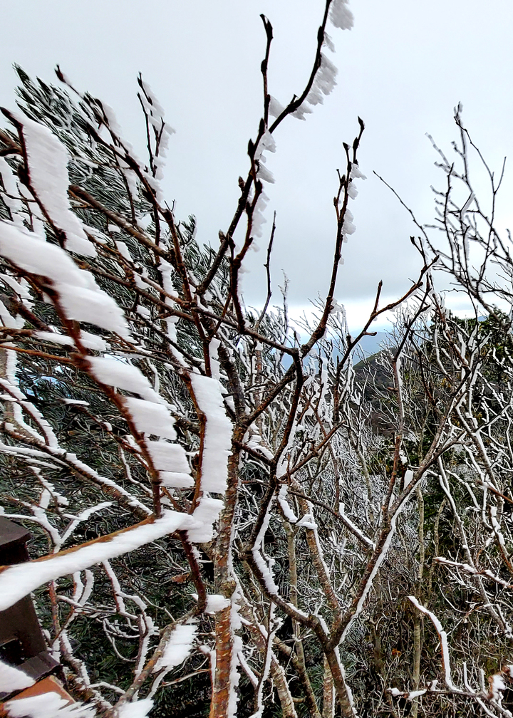 [평창=뉴시스] 김경목 기자 = 10일 오후 강원도 평창군 발왕산(해발 1458ｍ)에 올 가을 첫 상고대가 피어 눈길을 끌고 있다. 기상청에 따르면 이날 오후 1시25분 기준 기온은 0도, 강수량은 0.5㎜, 풍속은 초속 1.4ｍ로 관측됐다. 이날 발왕산에는 눈도 조금 내린 것으로 보인다. (사진=용평리조트 제공) 2022.10.10. photo@newsis.com *재판매 및 DB 금지