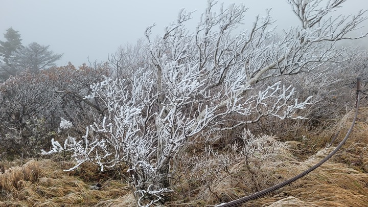 [인제=뉴시스] 김경목 기자 = 10일 오전 강원도 인제군 설악산(해발 1708ｍ) 중청대피소 지점에 올 가을 첫눈과 상고대가 피었다. 기상청에 따르면 올 가을 첫눈은 지난해보다 9일 빨랐다. 오전 10시7분 자동관측장비의 기온 측정 결과는 영하 3.3도였다. (사진=설악산 국립공원사무소 제공) 2022.10.10. photo@newsis.com *재판매 및 DB 금지