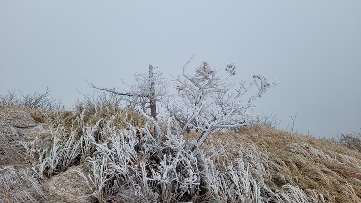 [인제=뉴시스] 김경목 기자 = 10일 오전 강원도 인제군 설악산(해발 1708ｍ) 중청대피소 지점에 올 가을 첫눈과 상고대가 피었다. 기상청에 따르면 올 가을 첫눈은 지난해보다 9일 빨랐다. 오전 10시7분 자동관측장비의 기온 측정 결과는 영하 3.3도였다. (사진=설악산 국립공원사무소 제공) 2022.10.10. photo@newsis.com *재판매 및 DB 금지