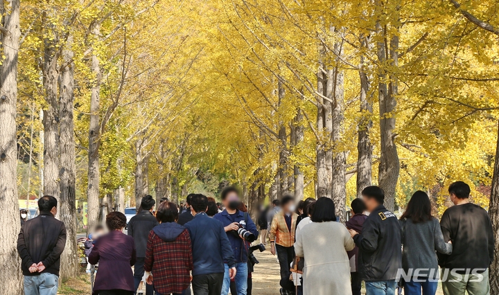 [괴산=뉴시스] 강신욱 기자 = 저수지에서 물안개가 피어오르고 황금색 은행나무가 수면에 투영되면서 몽환적인 풍광을 연출하는 충북 괴산군 문광면의 양곡은행나무축제가 15일 개막해 다음 달 20일까지 열린다. 사진은 지난해 축제 모습. 2022.10.13. ksw64@newsis.com 