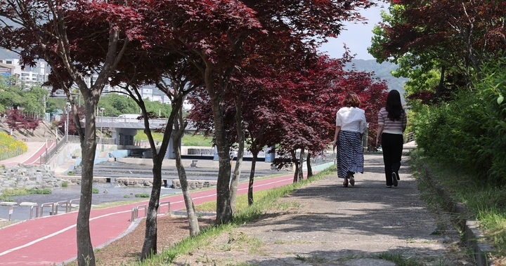 정읍천변 산책길. *재판매 및 DB 금지