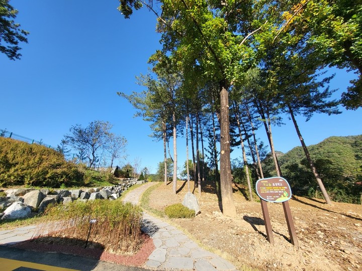 공근중학교에 조성된 학교숲. (사진=횡성군 제공) *재판매 및 DB 금지