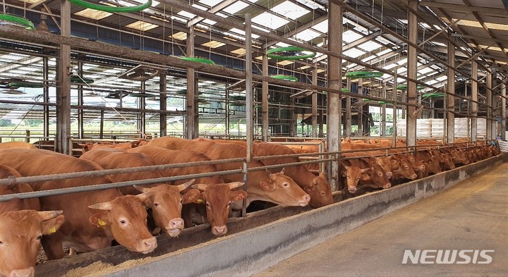 김해시 한우 유전체 정보분석 지원사업 추진