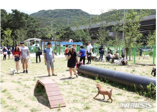 안양시 삼막 애견장 전경.