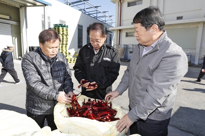 [괴산=뉴시스] 강신욱 기자 = 송인헌(가운데) 충북 괴산군수가 18일 괴산군조합공동사업법인 건고추 수매 현장을 방문해 올해 수확한 건고추를 살펴보고 있다. (사진=괴산군 제공) 2022.10.18. photo@newsis.com *재판매 및 DB 금지