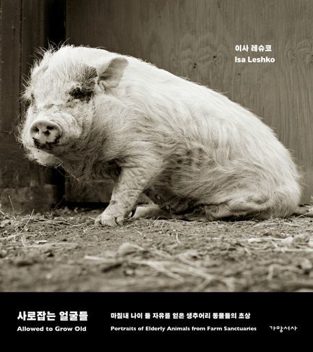 [서울=뉴시스] 사로잡는 얼굴들 (사진= 가망서사 제공) 2022.10.18. photo@newsis.com *재판매 및 DB 금지