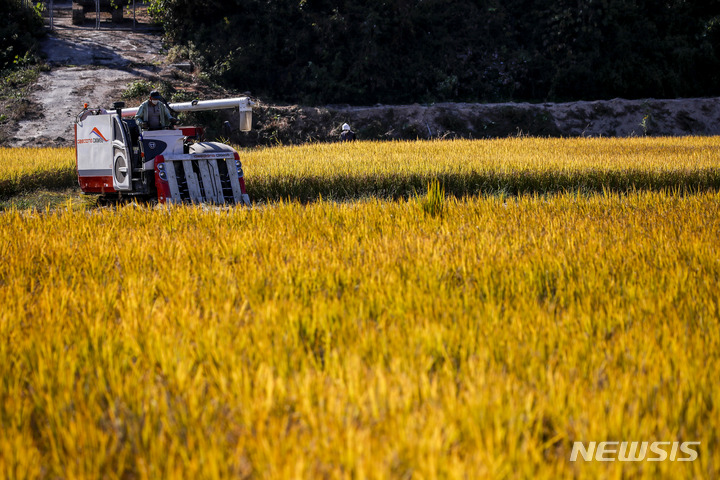 [여주=뉴시스] 정병혁 기자 = 경기 여주시 대신면의 한 논에서 농부가 콤바인을 이용해 벼를 수확하고 있다. 2022.10.18. jhope@newsis.com