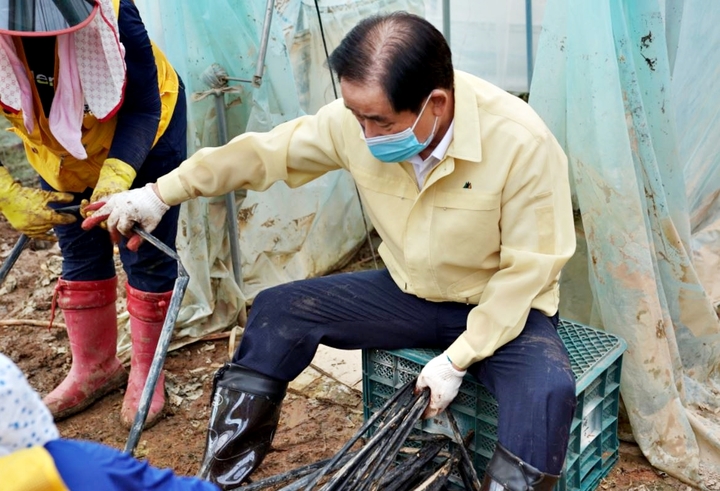 [진천=뉴시스] 생산적 일손봉사하는 송기섭 진천군수. (사진=진천군 제공) photo@newsis.com *재판매 및 DB 금지