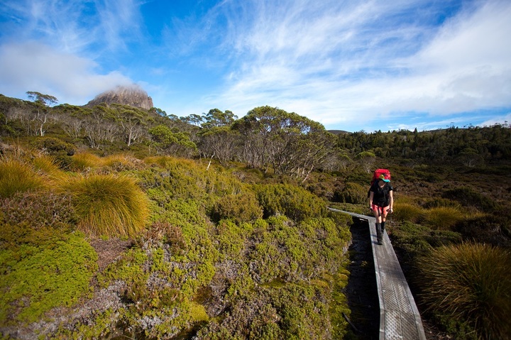 태즈매니아 오버랜드 트랙.&nbsp; (사진=호주관광청 제공) photo@newsis.com *재판매 및 DB 금지