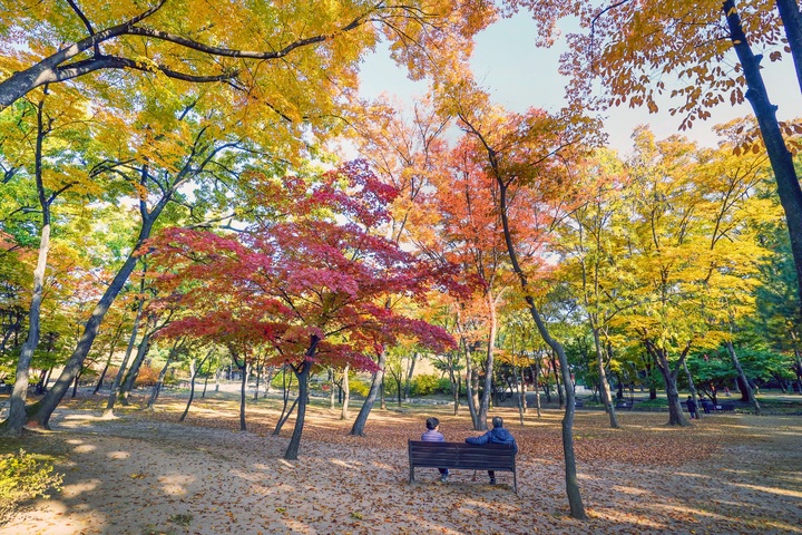 영휘원의 가을. (사진=서울 동대문구청 제공) photo@newsis.com *재판매 및 DB 금지