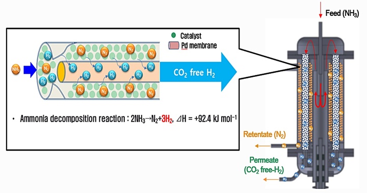 [대전=뉴시스] 수소분리막을 이용한 암모니아분해 수소생산 기술 원리. *재판매 및 DB 금지