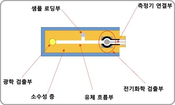 [대전=뉴시스] 혈액을 이용해 대장암 분석 및 결과를 판독할수 있는 대장암 진단센서(키트) 모식도. *재판매 및 DB 금지