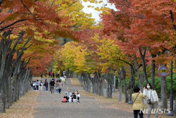 [울산=뉴시스] 배병수 기자 = 26일 오후 울산 남구 문수체육공원  산책로에 단풍이 붉게 물들어 시민들이 가을 분위기를 느끼고 있다. 2022.10.26. bbs@newsis.com